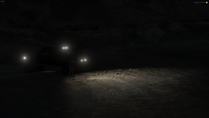 79 Series Landcruiser