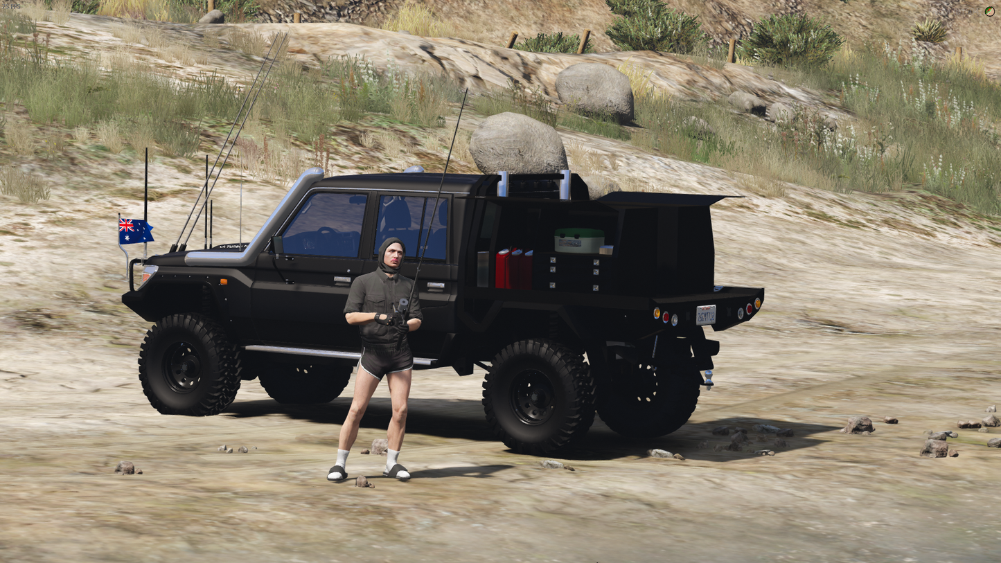 79 Series Landcruiser