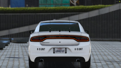 K9 2018 Dodge Charger